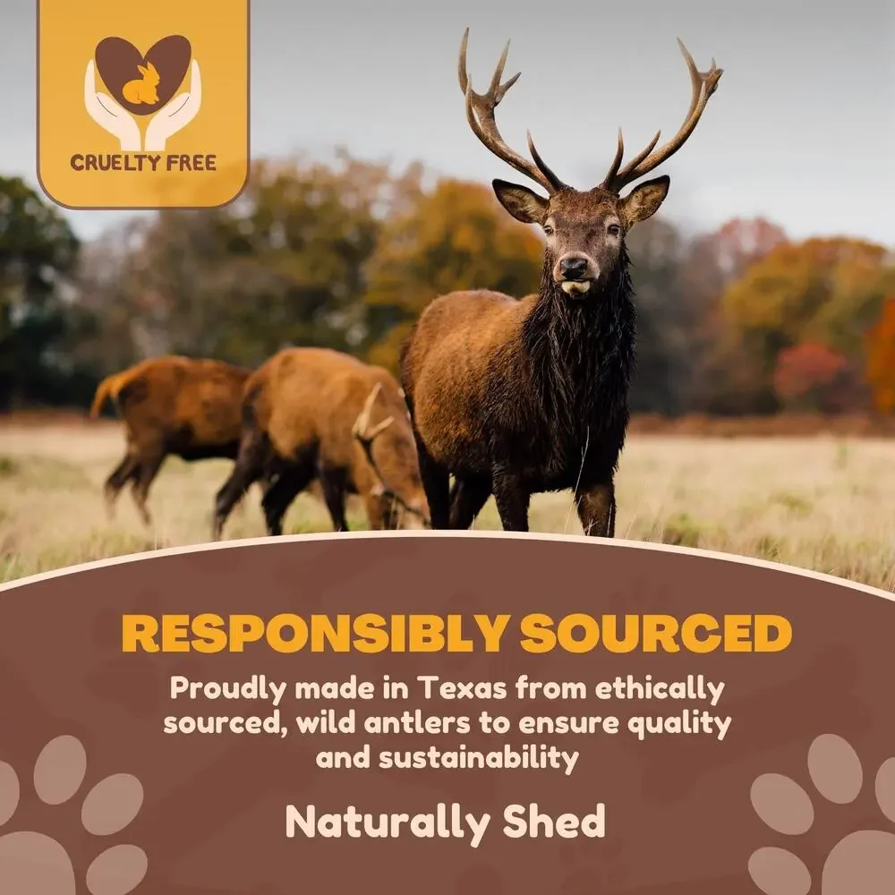 NWT WhiteTail Naturals Split Red Deer Antlers Medium Breed Dog Treats, 6 Count